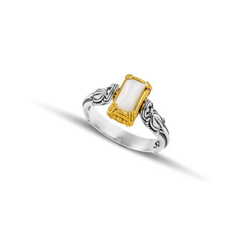 Silver Double-sided Ring with Semi-Precious Stones D207