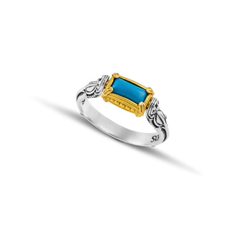 Silver Double-sided Ring with Semi-Precious Stones D207-1